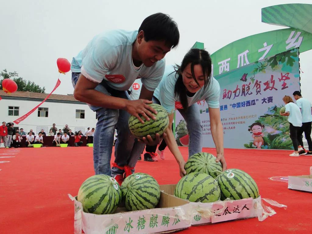 黑料吃瓜网热点大瓜在线——揭秘娱乐圈那些不为人知的真相