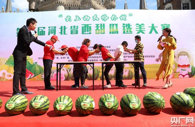 网红黑料吃瓜网：揭秘背后的真相与不可告人的秘密